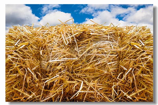 生物質(zhì)鍋爐額定蒸發(fā)量是什么意思？