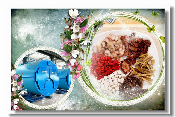 臨漳生物質(zhì)鍋爐供應(yīng)商哪家好？