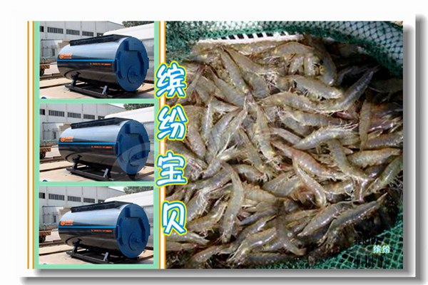 恩施燃?xì)庹羝仩t多少錢？